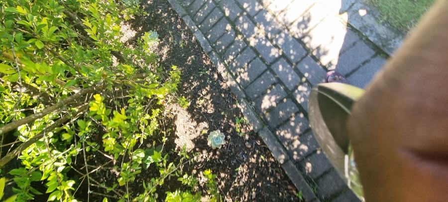 Commercial Property for Sale in King Williams Town Central Eastern Cape